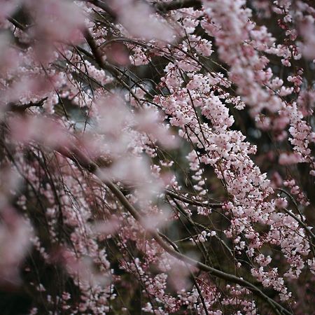 Kyoto Machiyado Shijokarasuma Hotell Exteriör bild