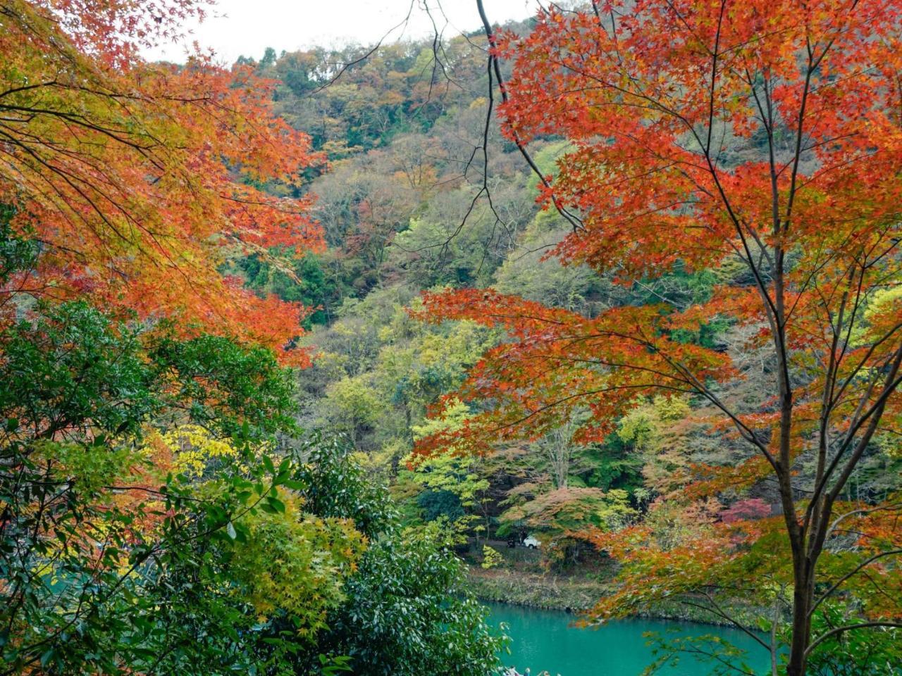 Kyoto Machiyado Shijokarasuma Hotell Exteriör bild