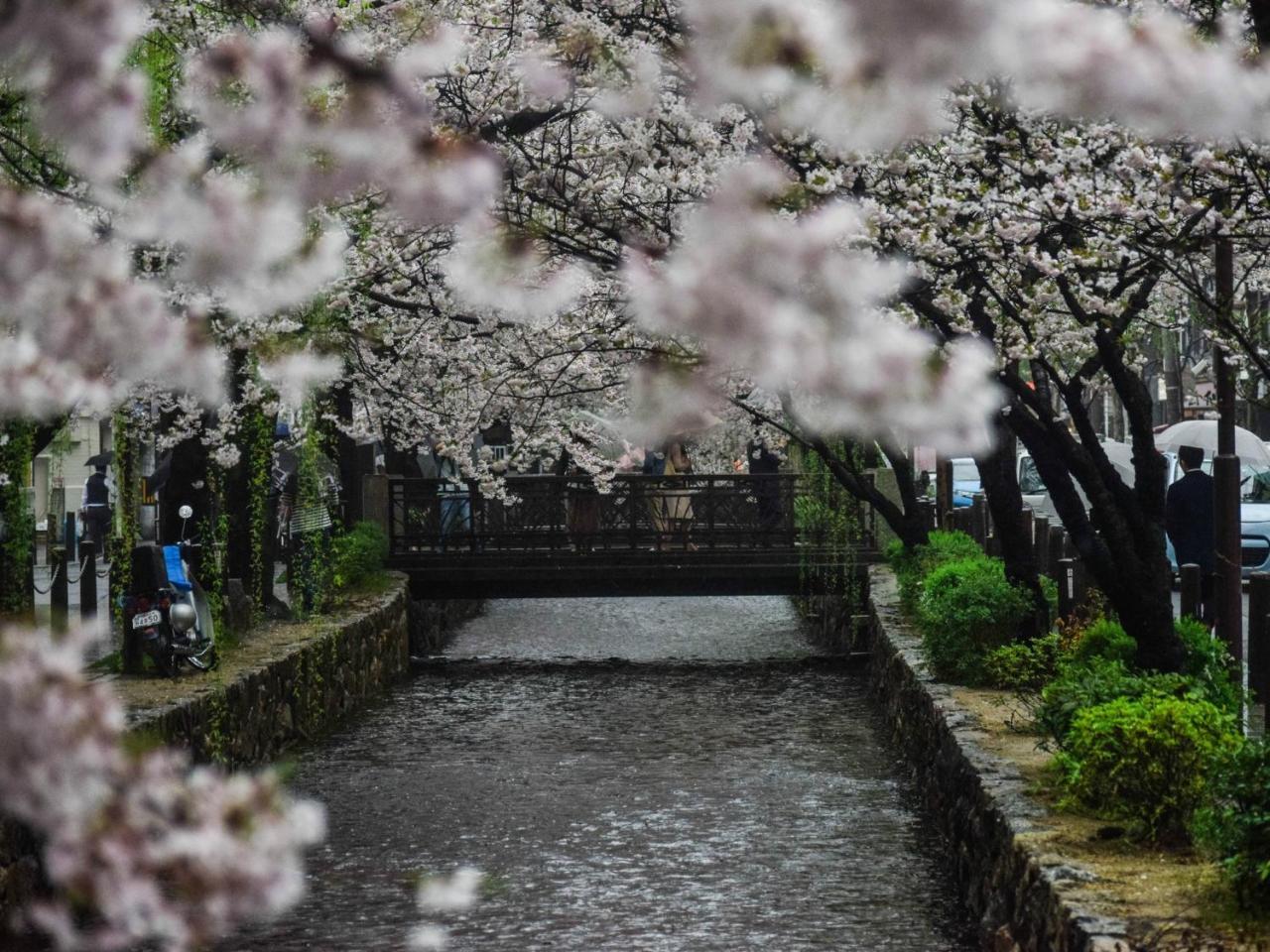 Kyoto Machiyado Shijokarasuma Hotell Exteriör bild