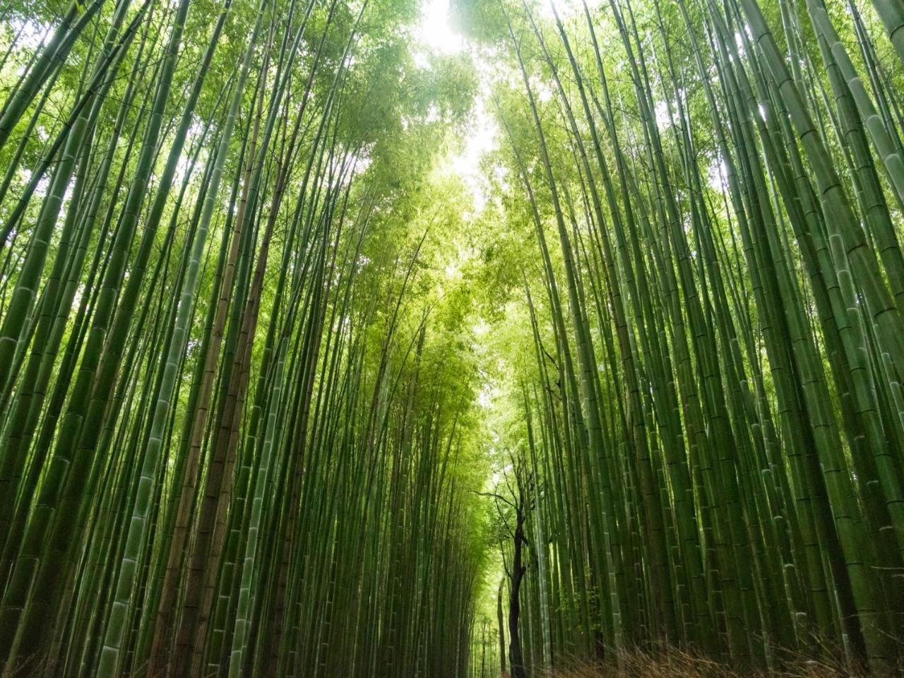 Kyoto Machiyado Shijokarasuma Hotell Exteriör bild